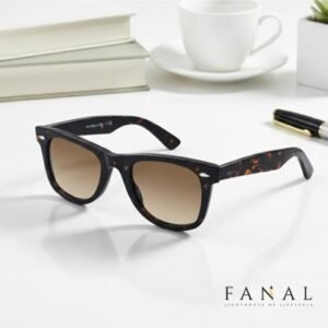 Ray Ban Wayfarer Premium Sunglasses