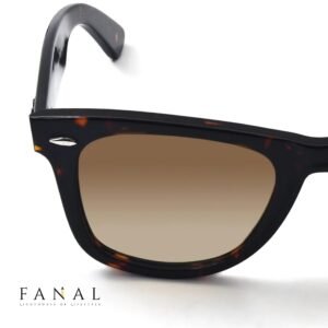 Ray Ban Wayfarer Premium Sunglasses