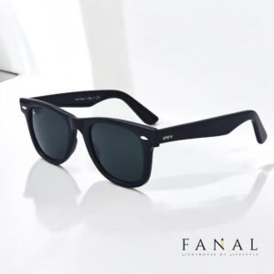 Ray Ban Wayfarer Premium Sunglasses