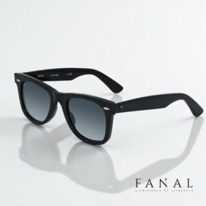 Ray Ban Wayfarer Premium Sunglasses