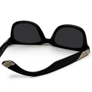 Ray Ban Wayfarer Sunglasses