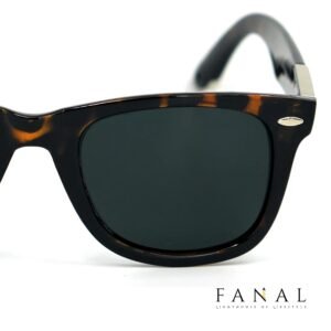 Ray Ban Wayfarer Sunglasses