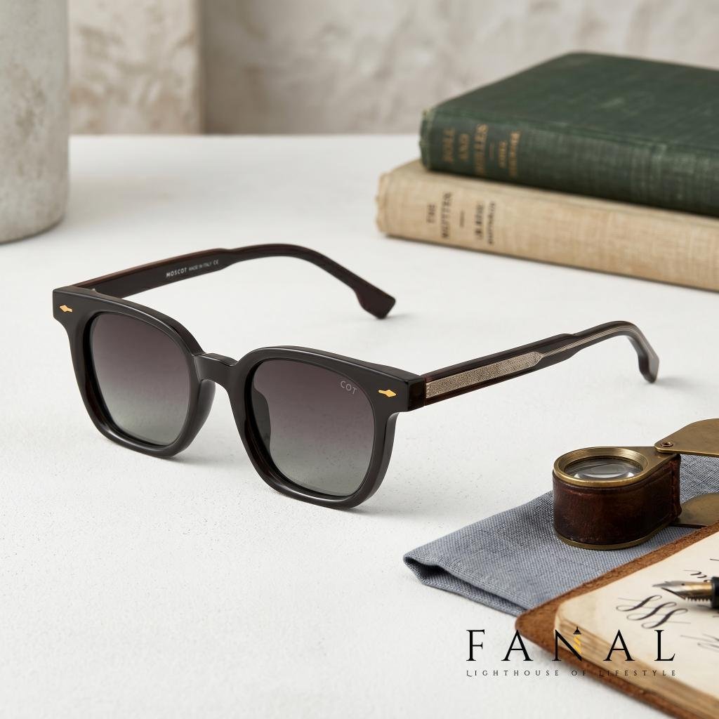 Celine RN9036 | E530OSS Sunglasses Coffee | Polarized